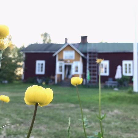 Paeivin Pirtti - Pirttikahvila Ja B&B Луосто Экстерьер фото