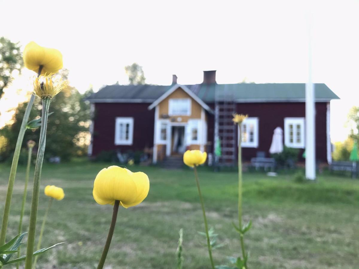 Paeivin Pirtti - Pirttikahvila Ja B&B Луосто Экстерьер фото